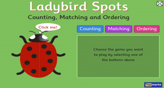 ladybird spots